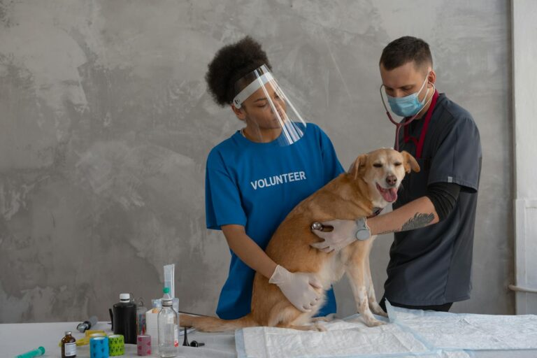 Vaccinate Wisely: Protect Your Dog from Over-Vaccination and Explore Titer Testing