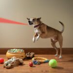 Is It Safe to Let Your Dog Play with Laser Pointers? The Potential Risks and Better Playtime Options