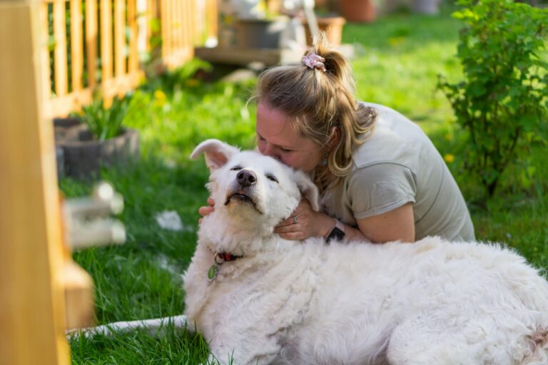 Understanding Canine Heart Murmurs: What Every Dog Owner Needs to Know